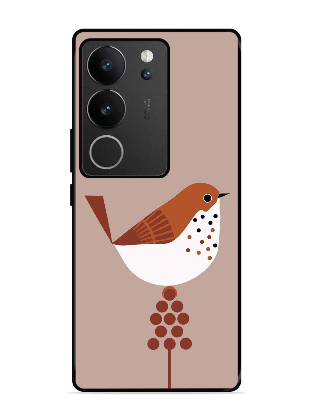 vivo v29 5g Sparrow