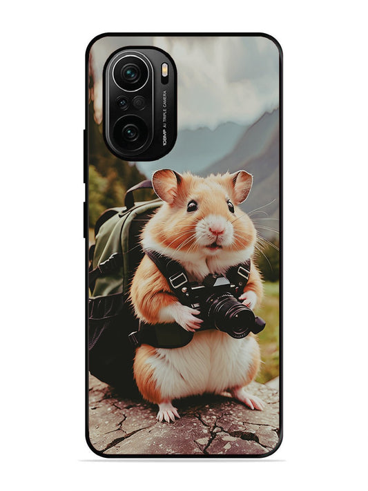 XIAOMI MI 11X PRO 5G Camera Squirrel