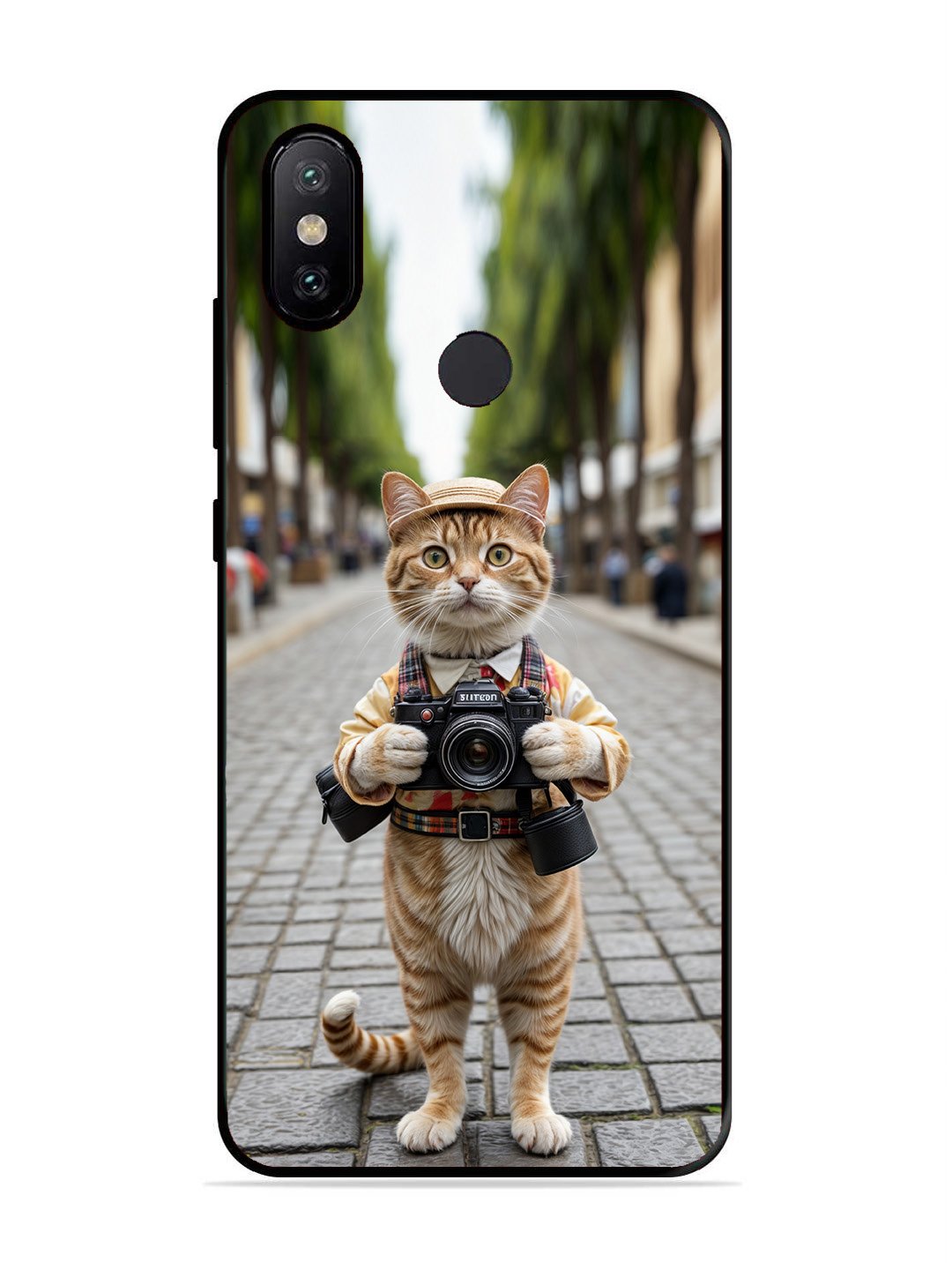 XIAOMI MI A2 Cat as Cameraman