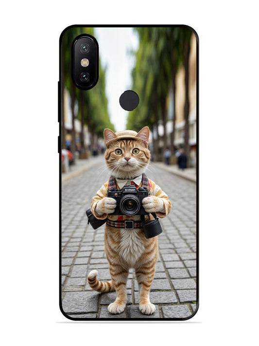 XIAOMI MI A2 Cat as Cameraman