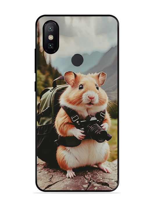 XIAOMI MI A2 Camera Squirrel