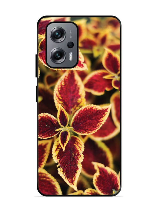 Xiaomi Redmi K50I 5G Autumn Blaze
