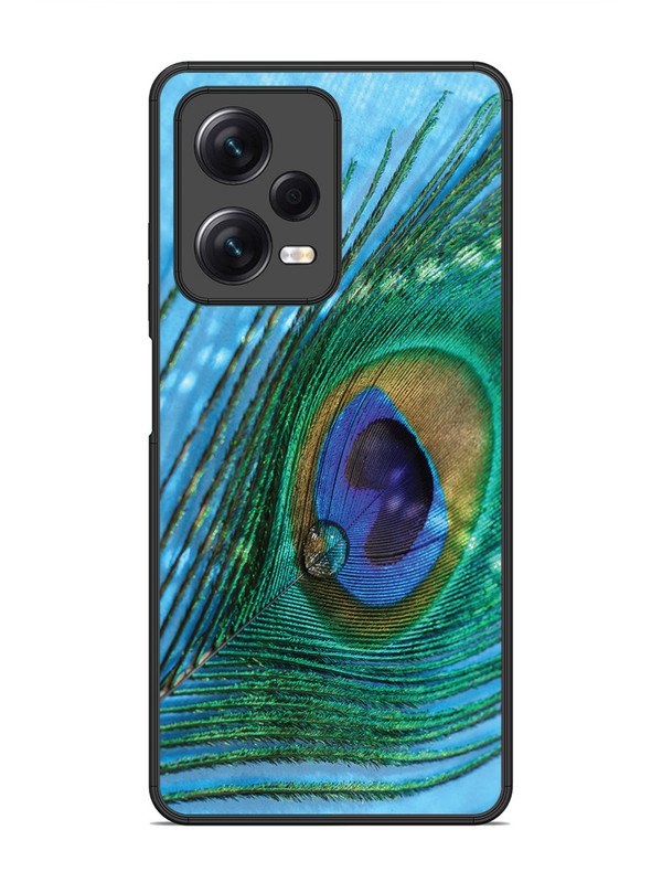 Xiaomi Redmi Note 12 Pro 5G A drop on Peacock Feather