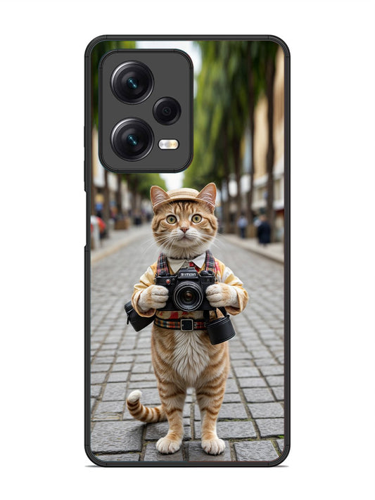 Xiaomi Redmi Note 12 Pro 5G Cat as Cameraman