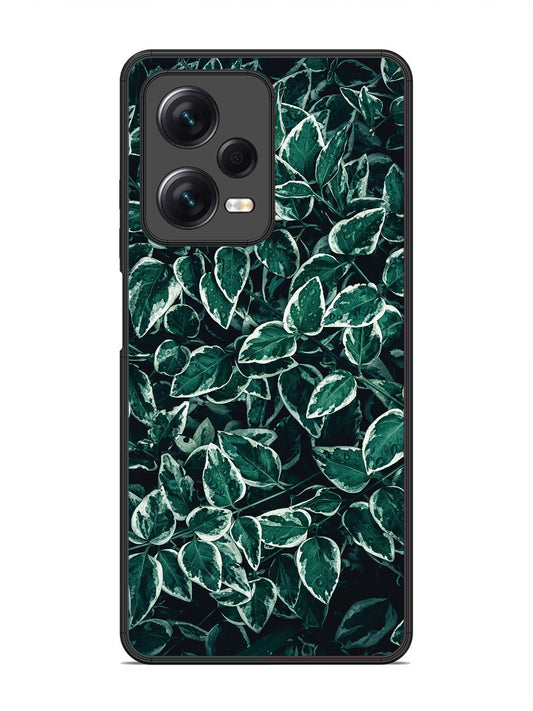 Xiaomi Redmi Note 12 Pro 5G Green Oasis Leafs