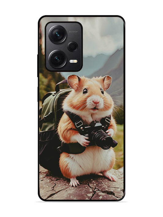 Xiaomi Redmi NOTE 12 PRO PLUS 5g Camera Squirrel