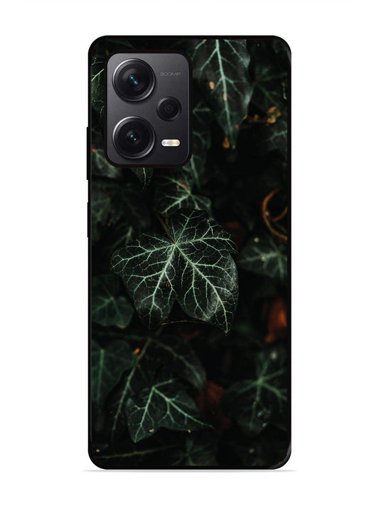 Xiaomi Redmi NOTE 12 PRO PLUS 5g Betel Leafs
